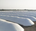 Silo Bags For Grain And Silage Storage