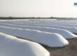 Tips for Choosing the Right Size Silo Bag for Grain Storage Needs-Rishi FIBC Solutions