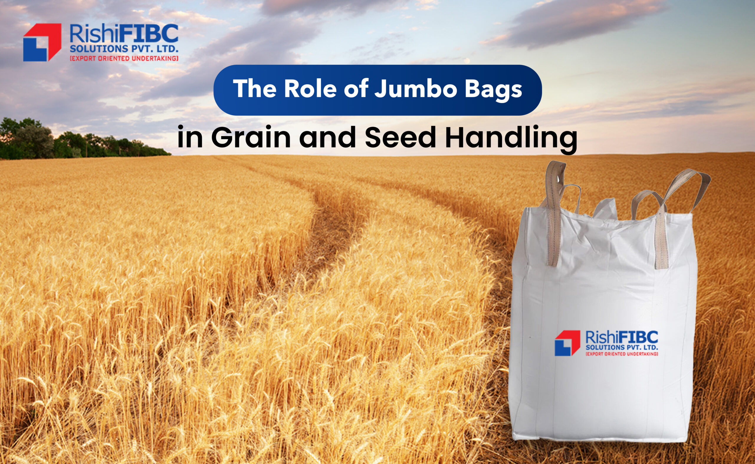 Jumbo Bag for Seed Handling