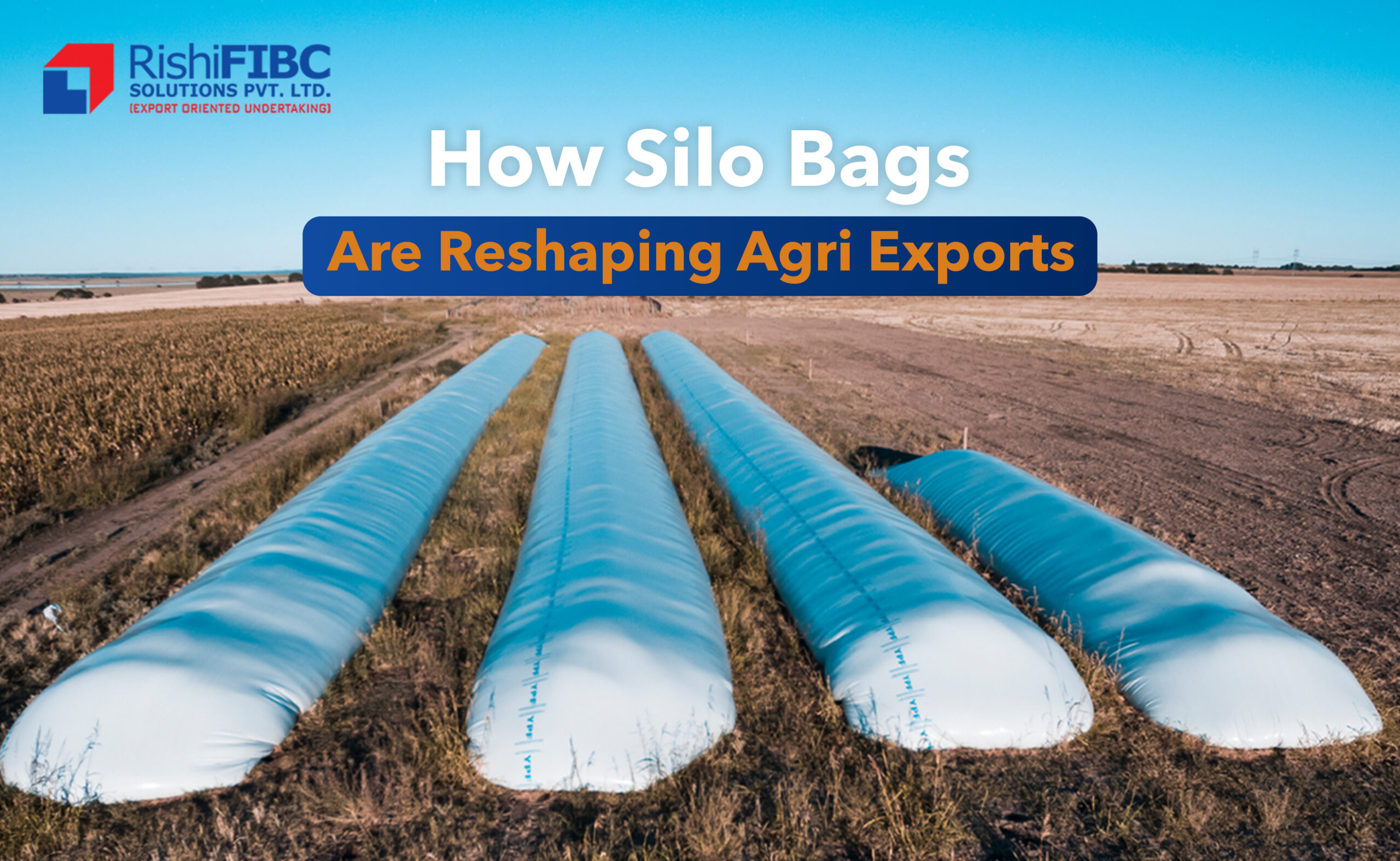 Silo Bags for Agri Exports